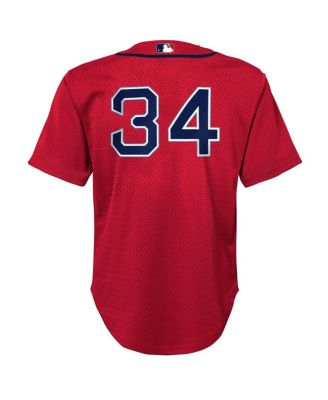 Mitchell Ness Preschool David Ortiz Red Boston Red Sox Cooperstown Collection&nbsp;Mesh Batting Practice Jersey