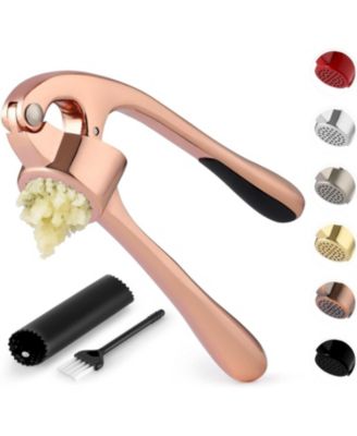 Premium Garlic Press Set - Rust Proof & Dishwasher Safe Professional Garlic Mincer Tool