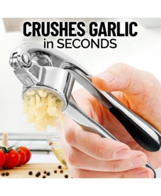 Premium Garlic Press Set - Rust Proof & Dishwasher Safe Professional Garlic Mincer Tool