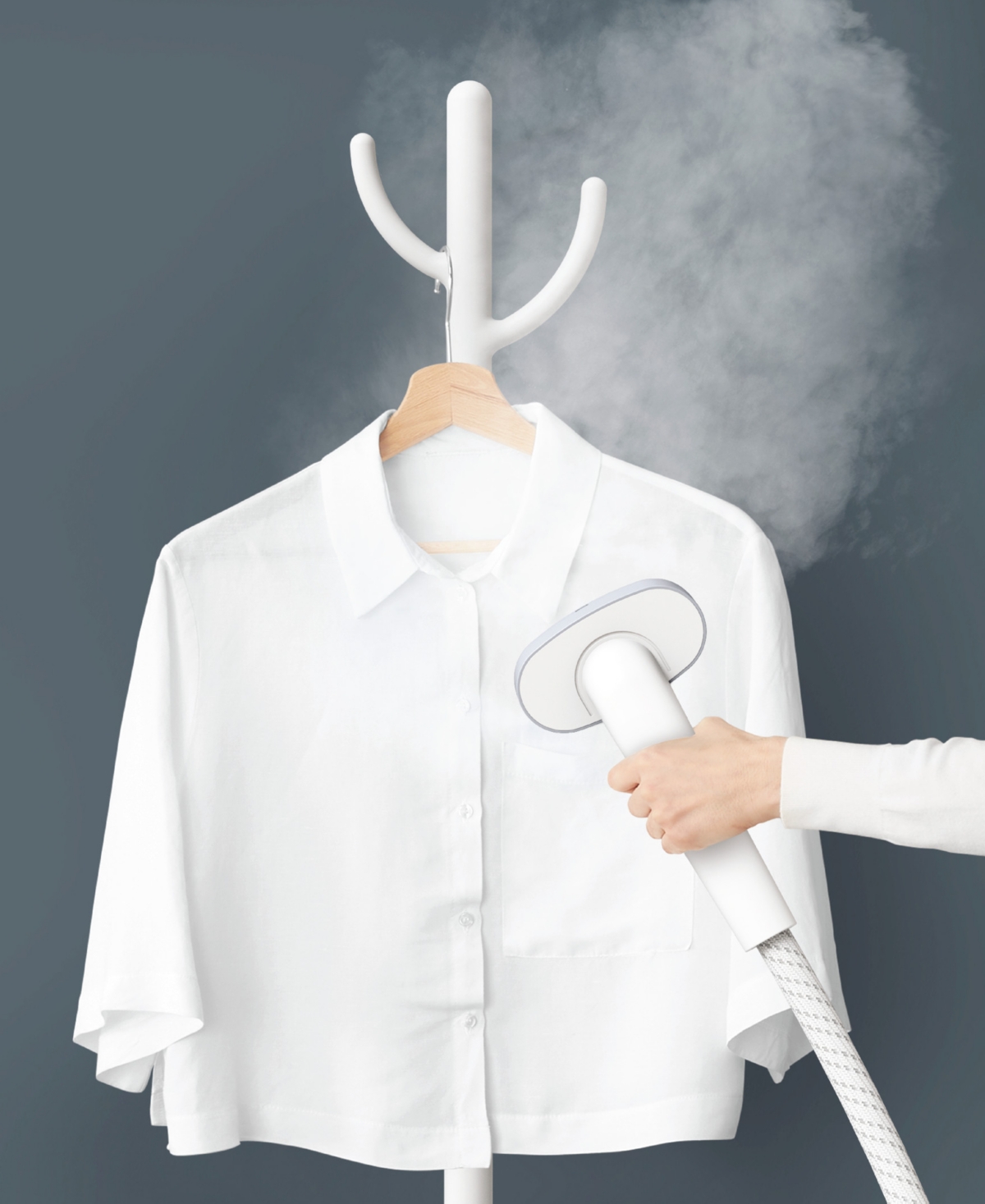 Rowenta Home Steam Stand-Up Electric Clothes Steamer