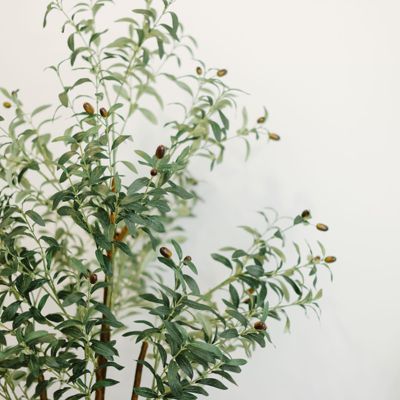 6ft Artificial Olive Tree with Woven Seagrass Plant Basket