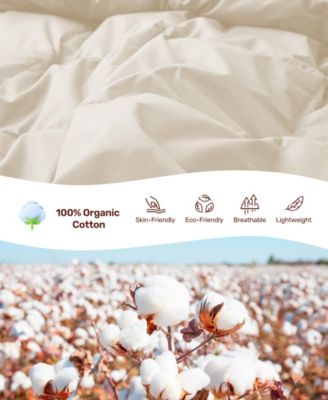 Cotton Goose Down Feather Fiber Comforter, California King