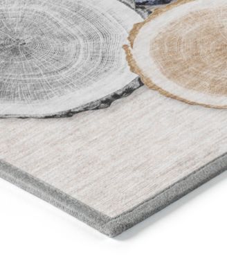 Chantille Machine Washable ACN575 3'x5' Area Rug