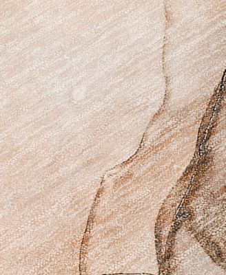 Chantille Machine Washable ACN502 9'x12' Area Rug