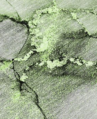 Chantille Machine Washable ACN520 5'x7'6 Area Rug