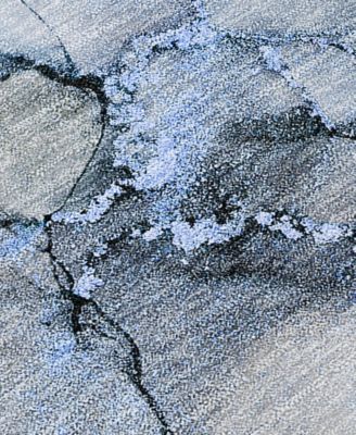 Chantille Machine Washable ACN520 9'x12' Area Rug