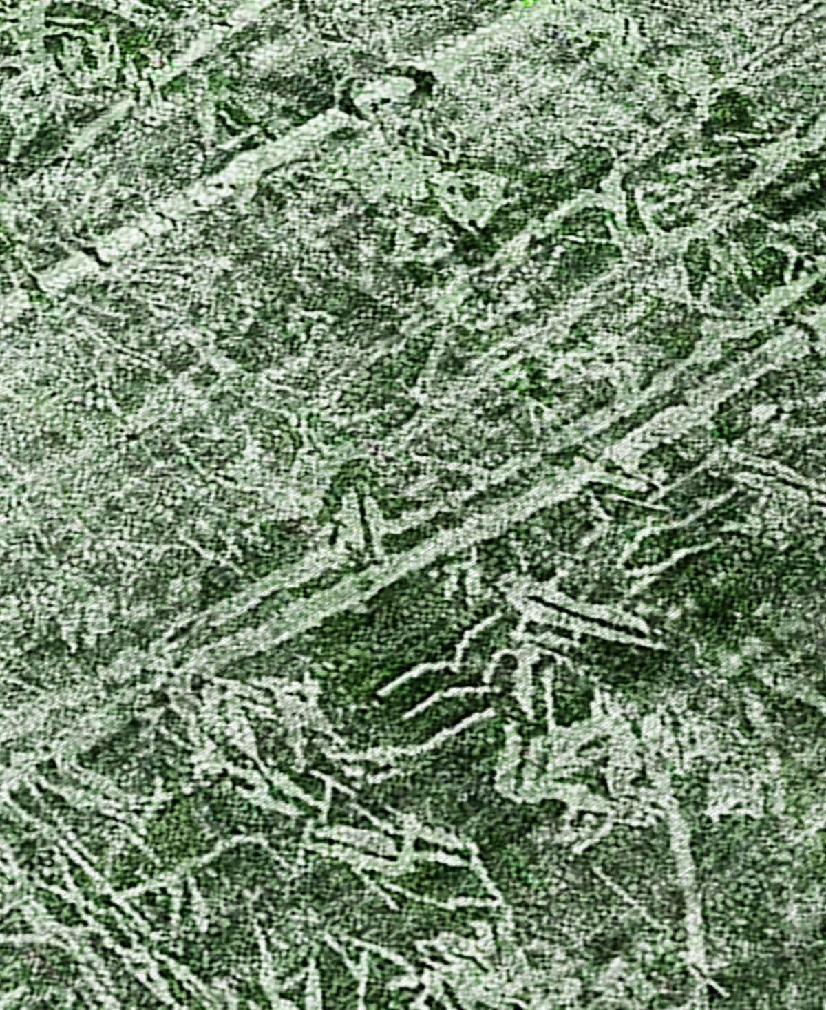 Addison Chantille Machine Washable Acn559 2'6x3'10 Area Rug In Jade