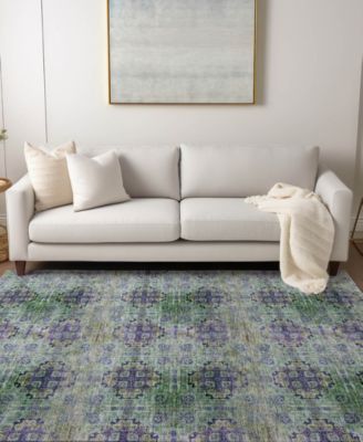 Chantille Machine Washable ACN557 8'x10' Area Rug