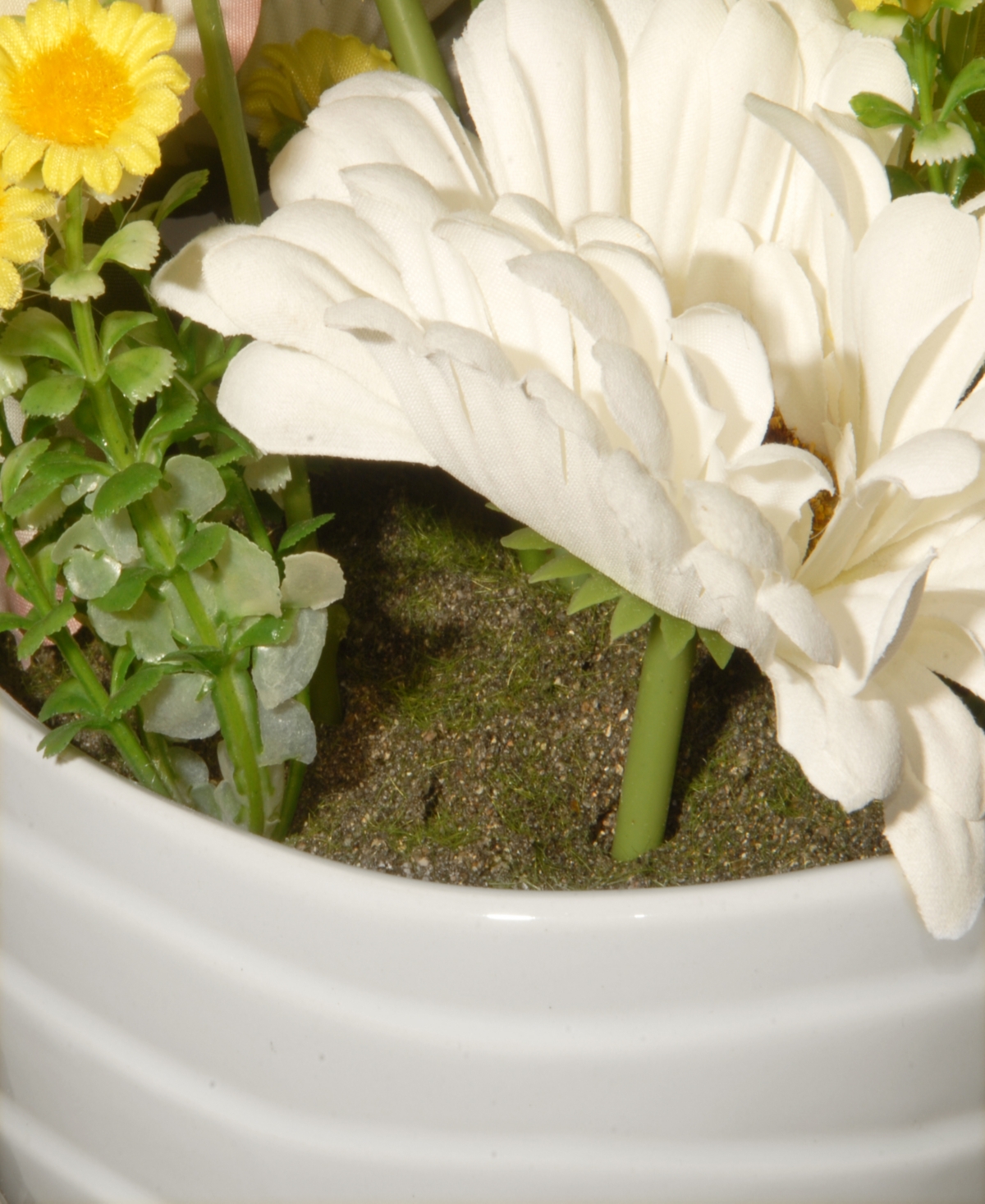 National Tree Company 17 Potted Daisy Rose Flowers In White