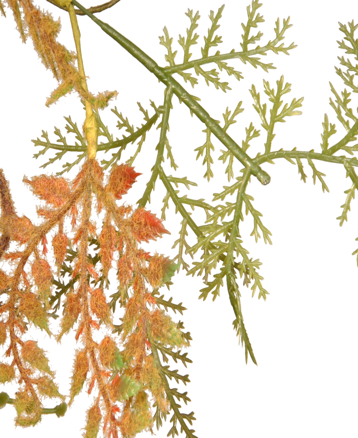 National Tree Company 22 Fern Wreath In Green