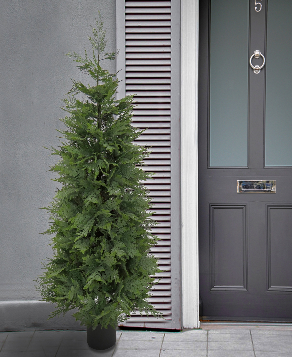National Tree Company ft. Cypress Tree in Nursery Pot