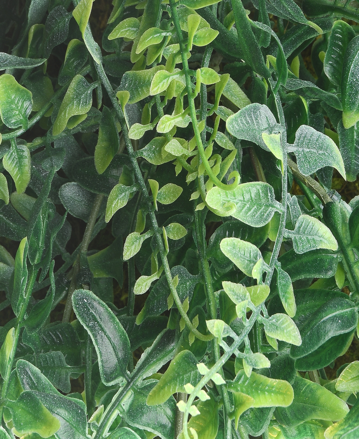 National Tree Company 21 Fern Leaves Hanging Basket