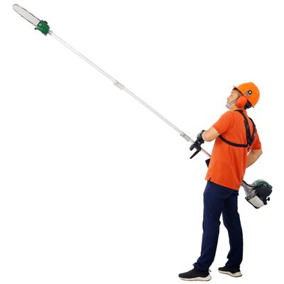 Streamdale 4-in-1 Trimming Tool System with Gas Pole Saw