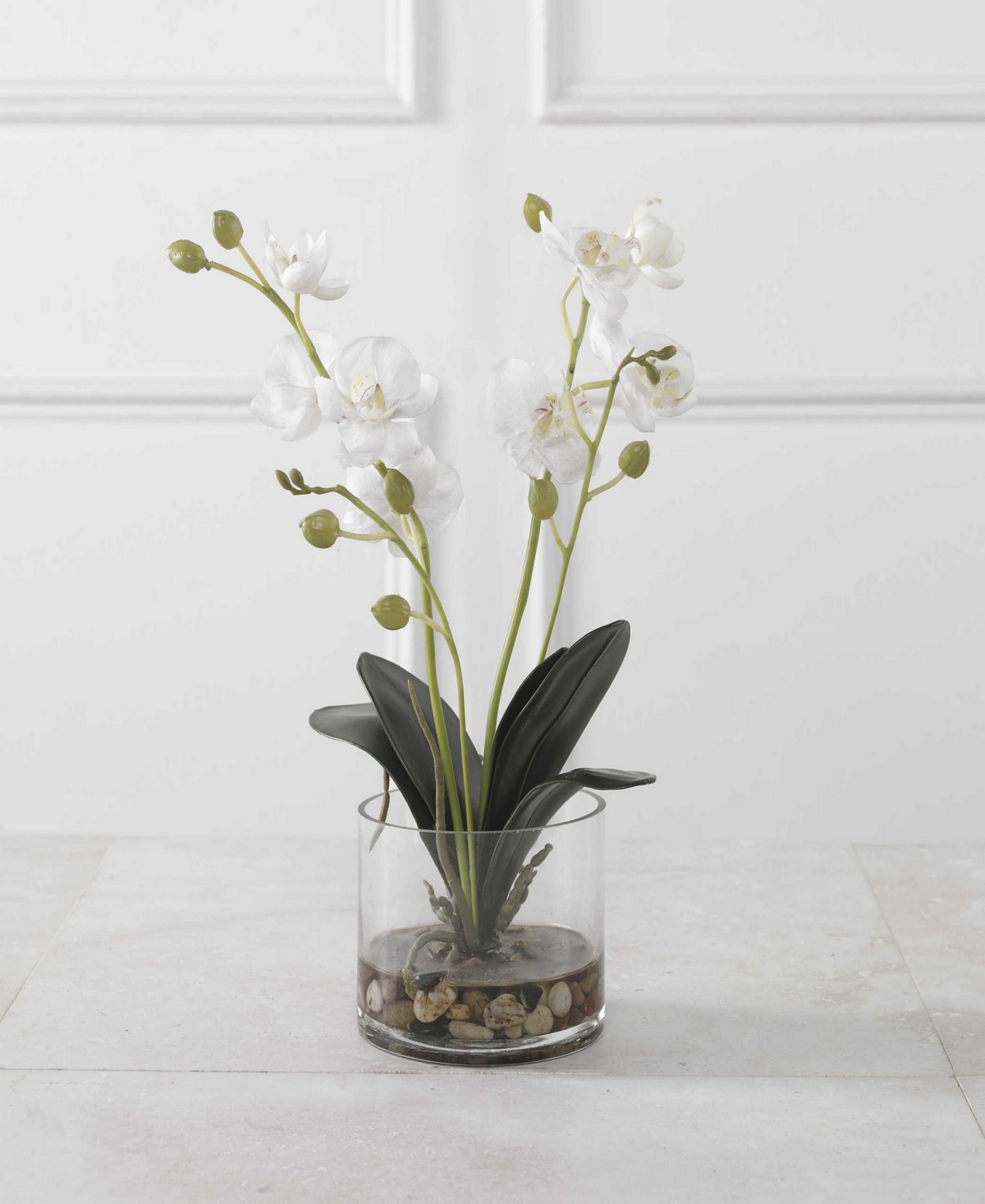 Uttermost Glory Orchid In White