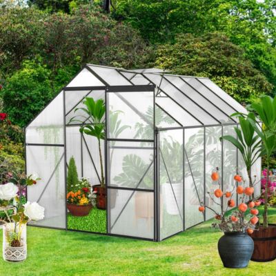 All-Season Heavy Duty 6x12 FT Greenhouse With Aluminum Base