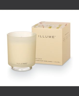 Illume