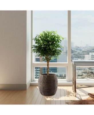 Round Storage Basket with Lid, Natural - Handwoven Water Hyacinth Hamper Organizer for Laundry, Blankets, Plants