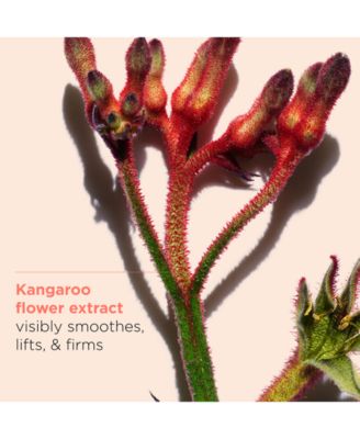 Extra-Firming & Smoothing Day Moisturizer - All Skin Types, 1.7 oz.