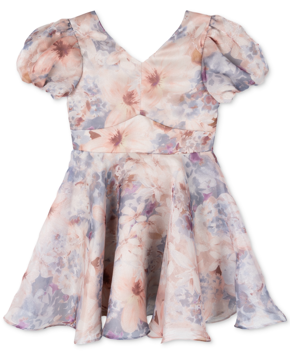 Rare Editions Big Girls Floral Organza Social Dress, Created for Macy's