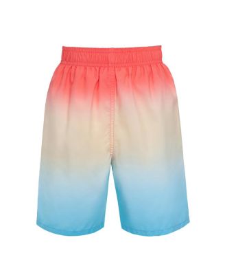 Toddler Boys Swim Trunks with Mesh Liner UPF 50+