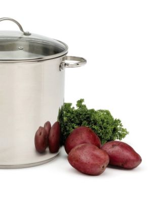 Endurance Stainless Steel 12 Qt Stockpot