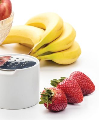 Endurance Stainless Steel 3.25" x 2.5" Fruit Fly Trap