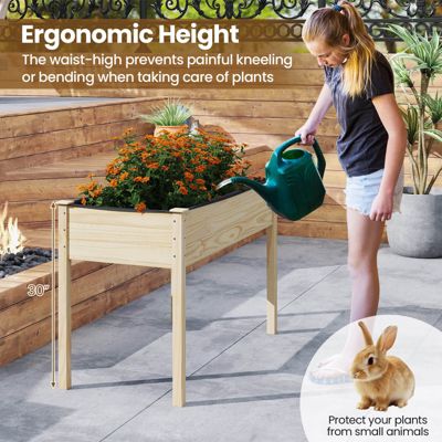 Wooden Raised Vegetable Garden Bed Elevated Grow Vegetable Planter
