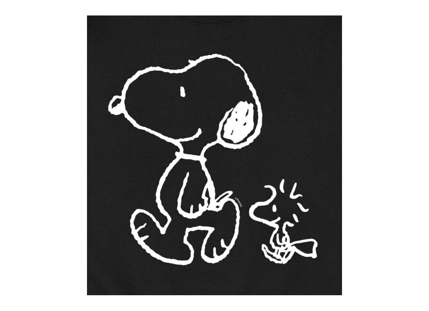 Мужской топ AIRWAVES Hybrid Apparel Snoopy Woodstock Walk Crew Fleece, цвет: Чёрный — фото 2
