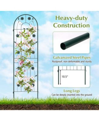 2 Pack 71 x 20 Inch Metal Garden Trellis Rustproof Plant Support for Climbing Plants