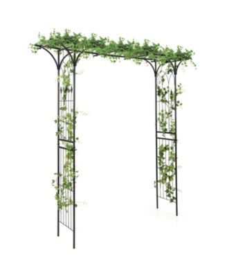81 Inch Garden Arbor Metal Archway for Climbing Plants-Black