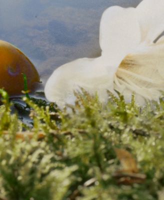 Chloe Chloé Nomade Eau de Parfum Spray, 2.5-oz.