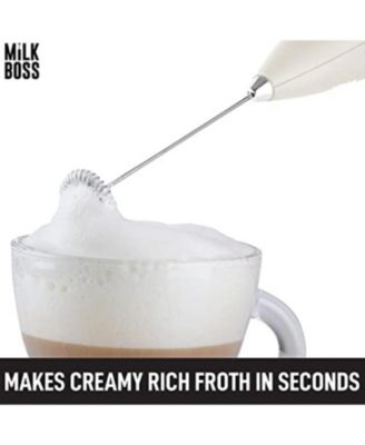 Stainless Steel Milk Frother