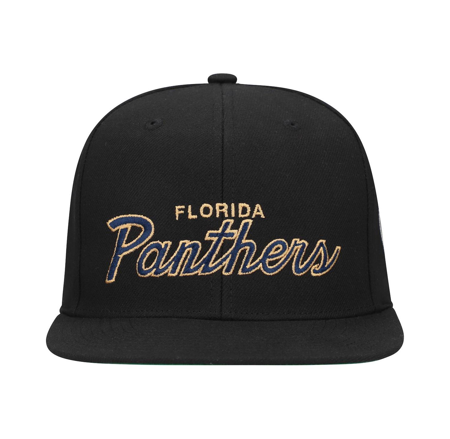 Mitchell Ness Men's Florida Panthers Core Team Script 2.0 Snapback Hat