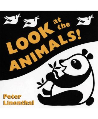 Kaplan Early Learning Black and White Board Books - Set of 6