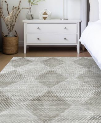 Trevi Washable TV4 9'x12' Area Rug
