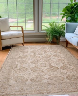 Cyprus CY5 3'x5' Area Rug