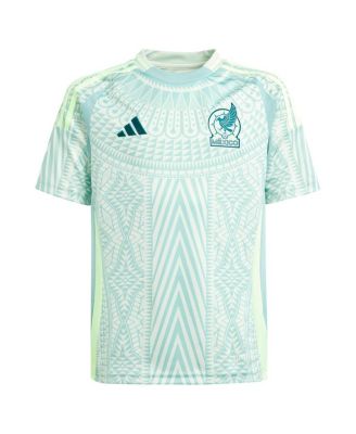 Big Boys and Girls Mexico National Team 2024 Replica Jersey