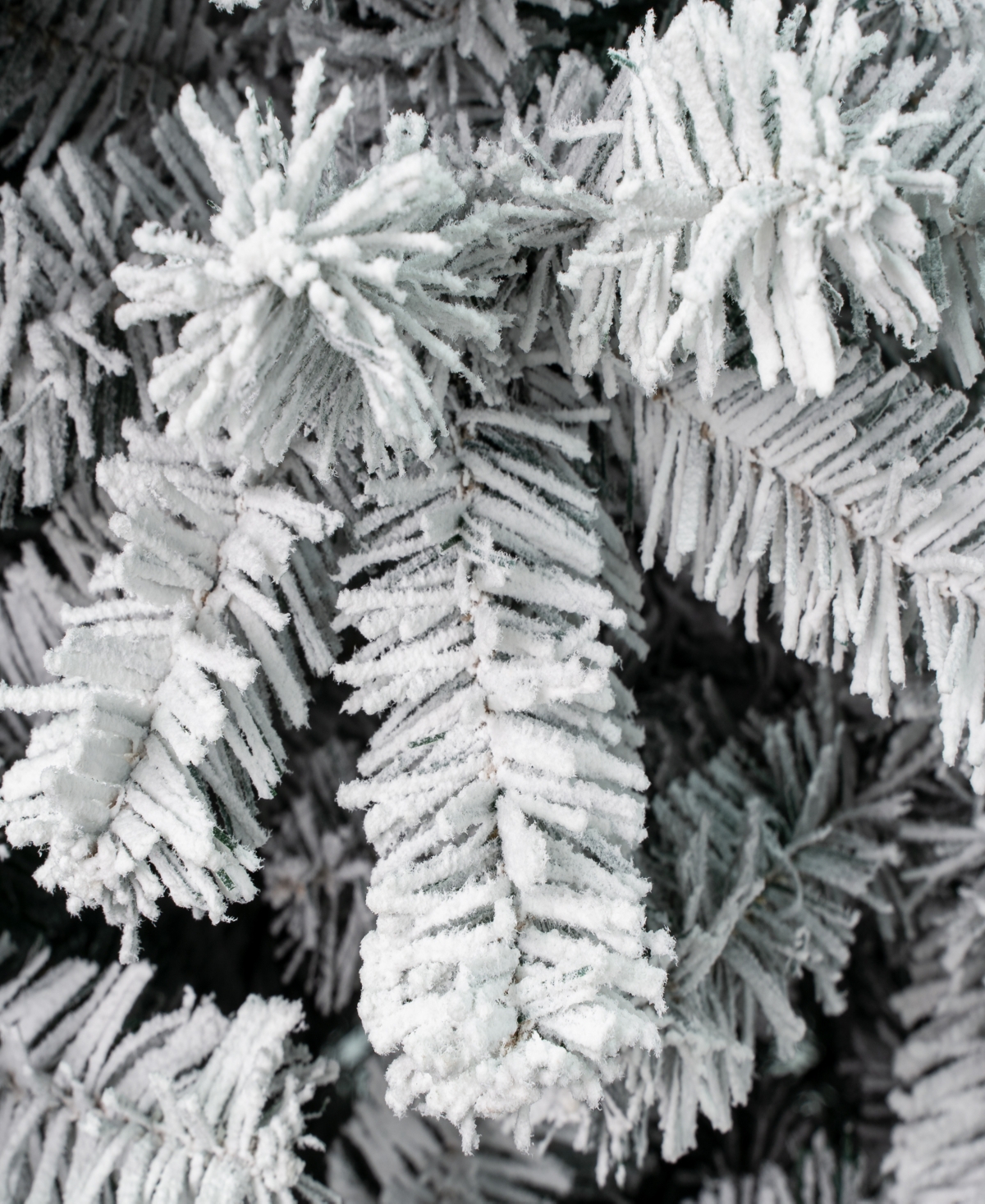 National Tree Company First Traditions Acacia Medium Flocked Tree 7.5 Ft In Green