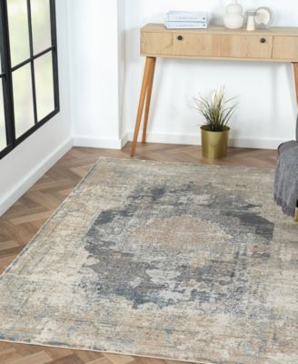 Cherry-318 4'x6' Area Rug