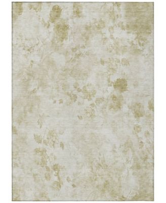 Chantille Machine Washable ACN724 8'x10' Area Rug