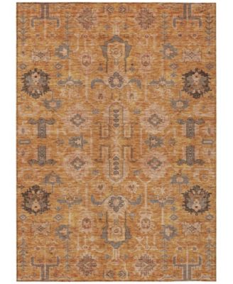 Chantille Machine Washable ACN697 8'x10' Area Rug