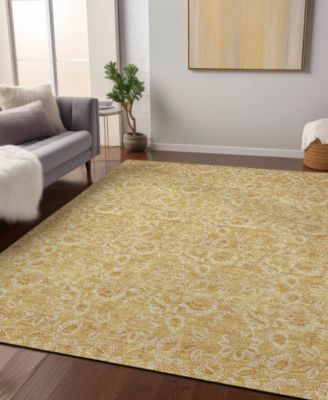 Chantille Machine Washable ACN661 2'6"x3'10" Area Rug