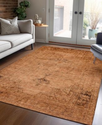Chantille Machine Washable ACN658 2'6"x3'10" Area Rug