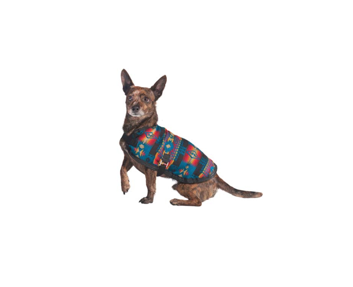 Chilly Dog XxlSouthwest Blanket Coat - Turquoise/aqua