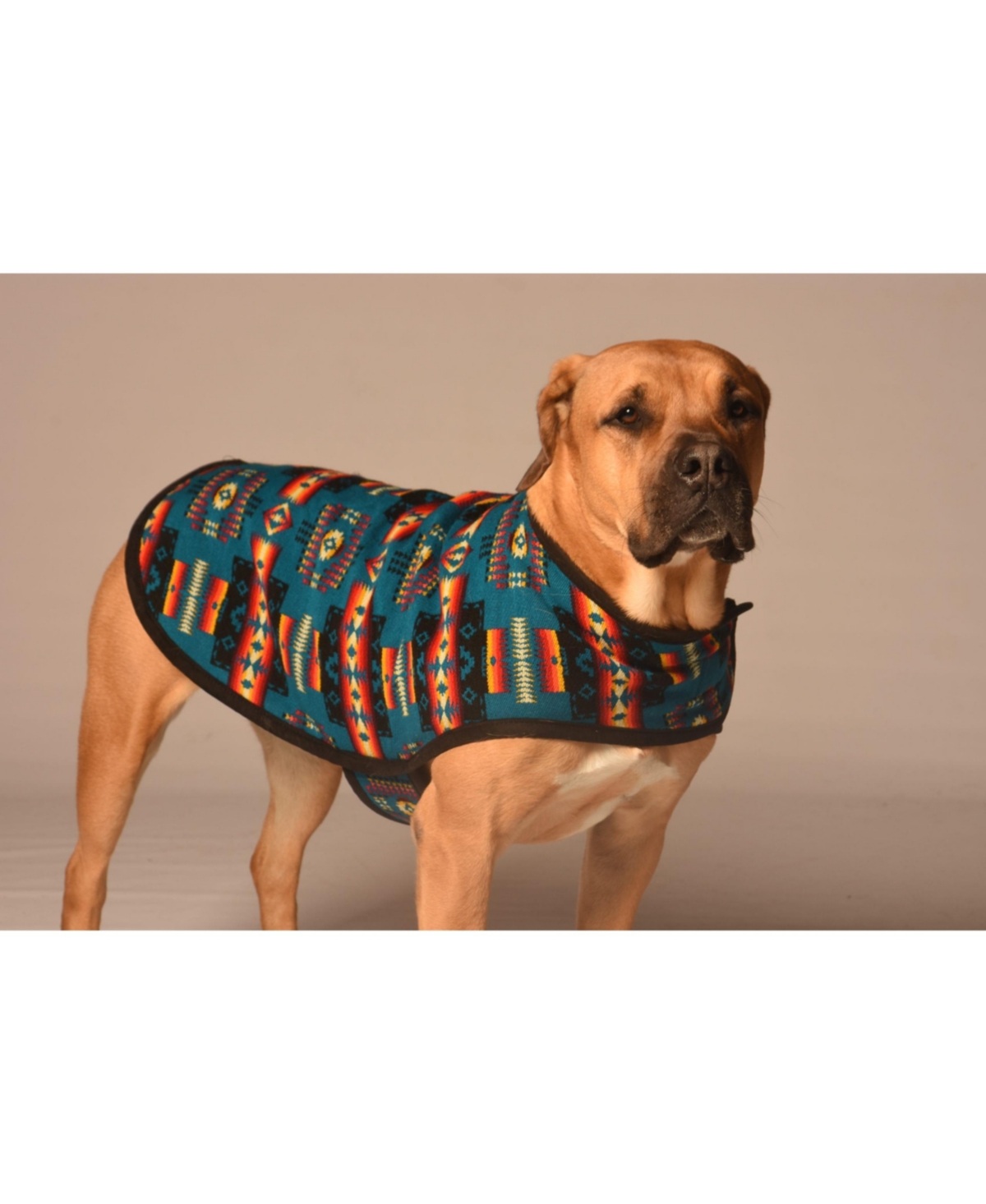 Chilly Dog XxlSouthwest Blanket Coat - Turquoise/aqua