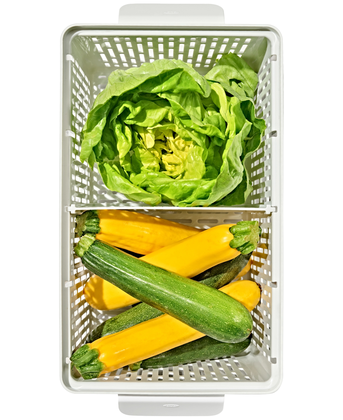 Oxo Good Grips Produce Saver Large Bin In No Color