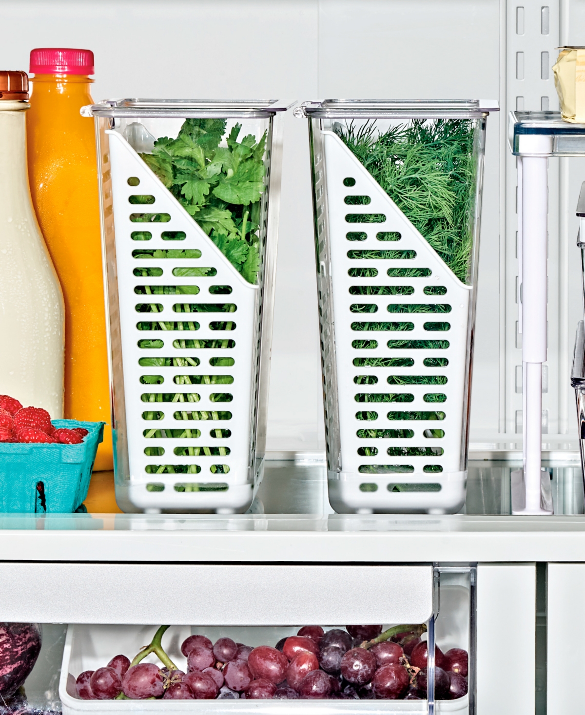 Oxo Good Grips Produce Saver Herb Keeper In No Color