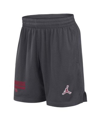 Men's Anthracite Oklahoma Sooners 2024 Sideline Mesh Shorts