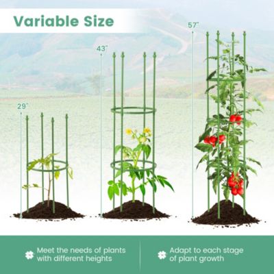 2-Pack Garden Trellis 56" Plant Support and Tomato Cages with Adjustable Height