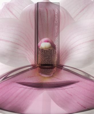 Calvin Klein Euphoria Eau de Toilette, 3.3 oz.